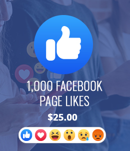 1,000 Facebook Page LIkes