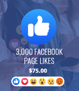 3k Facebook Page Likes